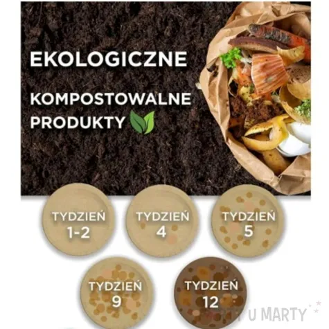 talerzyki papierowe cars auta eko procos 23 cm 8 szt