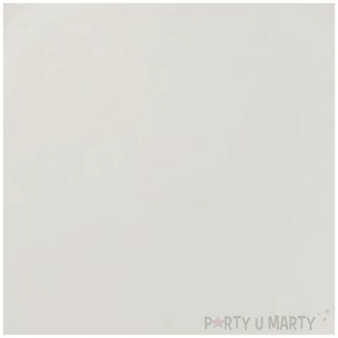 talerzyki papierowe classic biale arpex 23 cm 10 szt