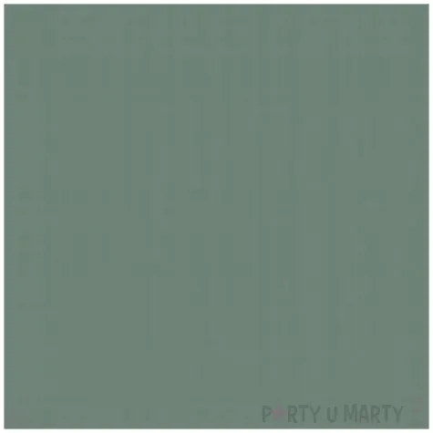 talerzyki papierowe classic szalwiowy congee 18 cm 6 szt