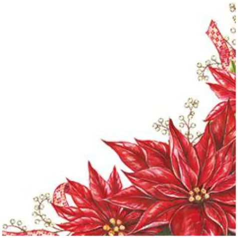 talerzyki papierowe elegancka poinsecja maki 23 cm 8 szt