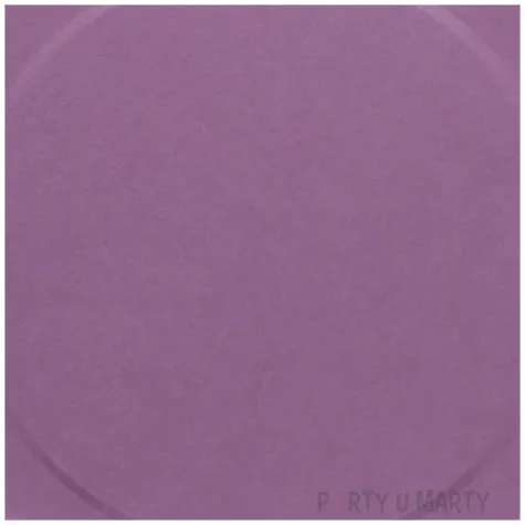 talerzyki papierowe grape fioletowy amscan 23 cm 8 szt