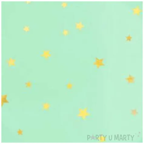 talerzyki papierowe gwiazdki zlote mietowe partypal 23 cm 6 szt