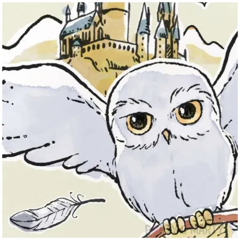 talerzyki papierowe harry potter hedwiga unique 18 cm 8 szt