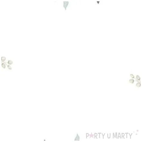 talerzyki papierowe klasyczne roze kwadratowe paw 23 x 23 cm 10 szt