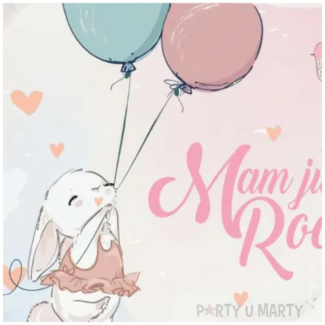 talerzyki papierowe mam juz roczek kroliczek godan 18 cm 6 szt