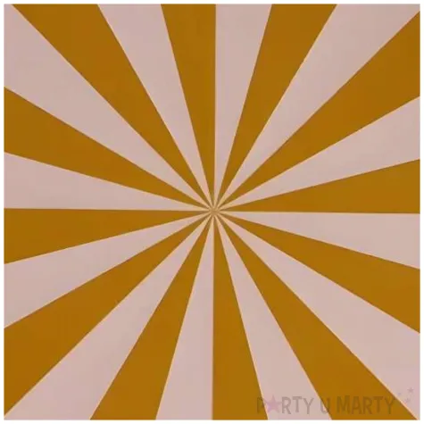 talerzyki papierowe paski brazowy bezowy partydeco 21 cm 6 szt