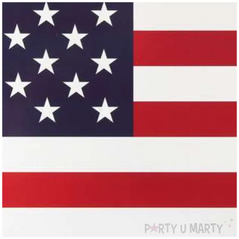 talerzyki papierowe usa party santex 23 x 23 cm