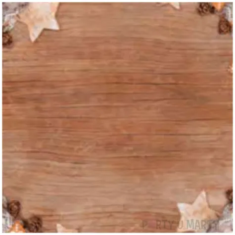 talerzyki papierowe zimowe dekoracje na desce maki 23 cm 8 szt