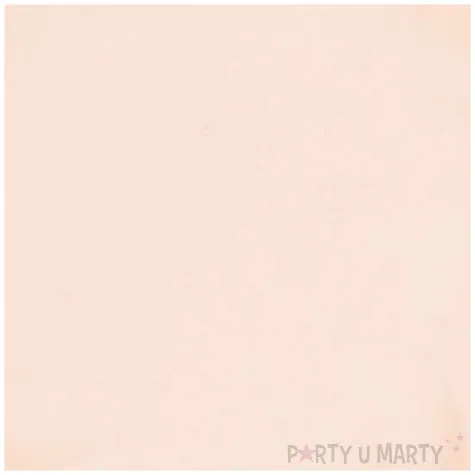 talerzyki vert decor twist morelowy amscan 18 8 cm 6 szt