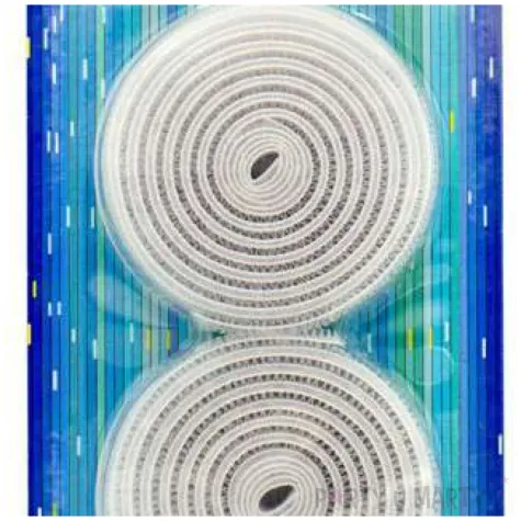 tasma rzepwoa classic haczyk petelka haczyk aliga biiala 20mm x 2m 2szt