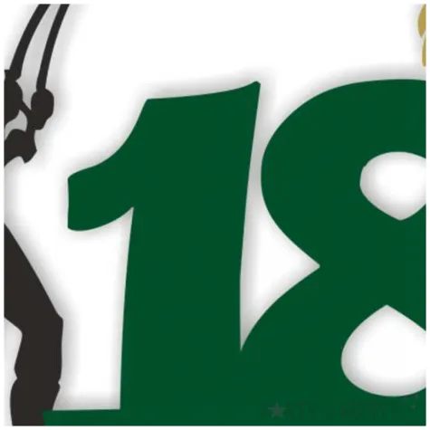 topper papierowy 18 urodziny wedkarza 12 x 17 cm