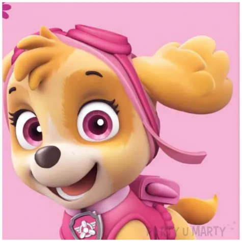 torebki papierowe paw patrol skye i everest procos 16 x 22 cm 4 szt