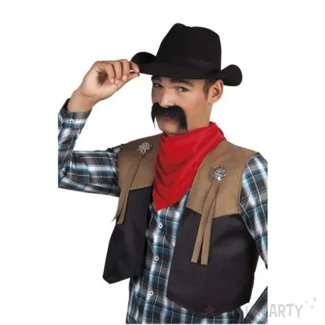 wasy party gringo meksykanin boland