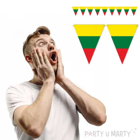 xx baner panstwa swiata litwa