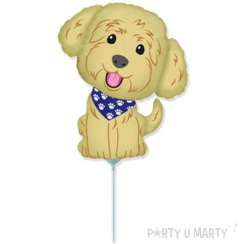 xx bfk balon foliowy 14 fx pies cobberdog