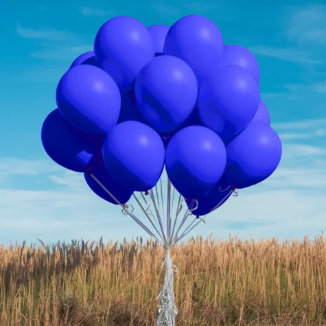 xx bl balony decomex 5 pastel royal blue 100 szt