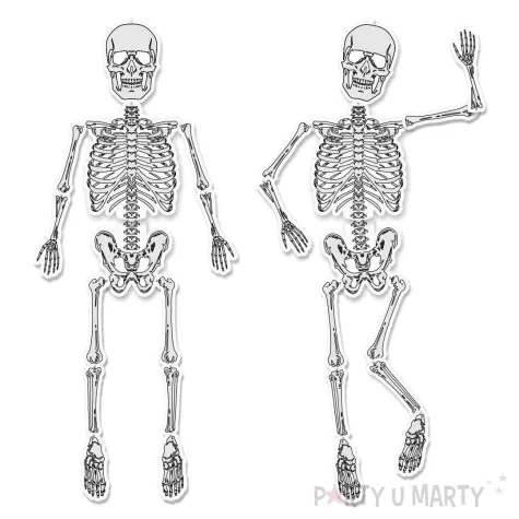 xx dekoracja kartonowa szkielet kosciotrup szary 160 cm