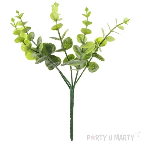 xx galazka eukaliptus 27 cm