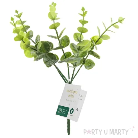 xx galazka eukaliptus 27 cm