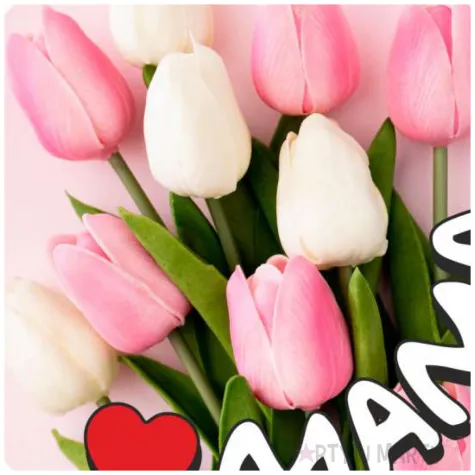 xx magnes mama i tulipany