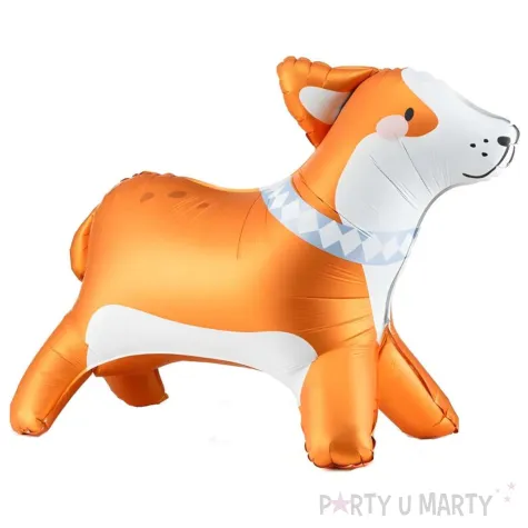 xx stojacy balon foliowy corgi 88x70 cm mix