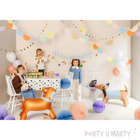 xx stojacy balon foliowy corgi 88x70 cm mix
