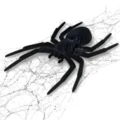 dekoracja pajaki duzy czarny 5x7 cm