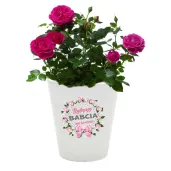 doniczka dzien babci najlepsza babcia na swiecie bialy 10 cm