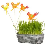 pik ozdobny kogucik mix arpex 24 cm