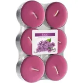 podgrzewacz zapachowy bez bispol 8h 6 szt