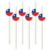 slomki panstwa swiata chile 19 5 cm 6 szt