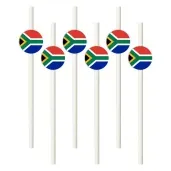 slomki panstwa swiata rpa 19 5 cm 6 szt