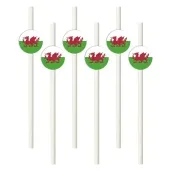 slomki panstwa swiata walia 19 5 cm 6 szt