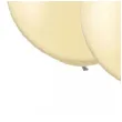 balon classic round kosc sloniowa qualatex 30 2 szt