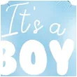 balon foliowy its a boy gwiazdka blekitny partydeco 19 str