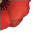 balon foliowy mak kwiatek czerwony qualatex 31 shp
