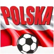 balon foliowy polska pilka bialy 18 rnd