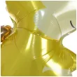 balon foliowy wiewiorka arpex 24 shp