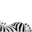 balon foliowy zebra arpex 14 awk