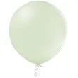 balon gigant pastelowy pistacjowy belbal 24 2 szt