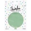 balon olbrzym pastel pistacjowy partydeco 60 cm