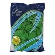 balony 10 pastel gemar green 100 szt