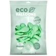 balony ekologiczne mietowe partydeco 10 100 szt