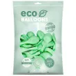 balony ekologiczne mietowy partydeco 12 100 szt