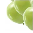 balony ekologiczne oliwkowy partydeco 12 10 szt