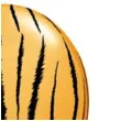balony tygrysie paski pomaranczowy pastel qualatex 11 25 szt