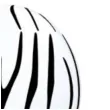 balony zebra paski bialy pastel qualatex 11 25 szt