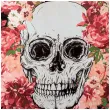baner czaszka day of the dead boland 150 cm