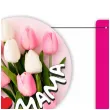 baner dzien matki kochanej mamie tulipany fuksja 2 2 m