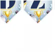 baner flagi dzien chlopaka w pelerynie mix kolor 2 8 m